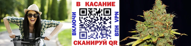 Наркотические вещества Новосиль Гашиш