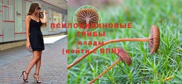 PSILOCYBIN Абинск